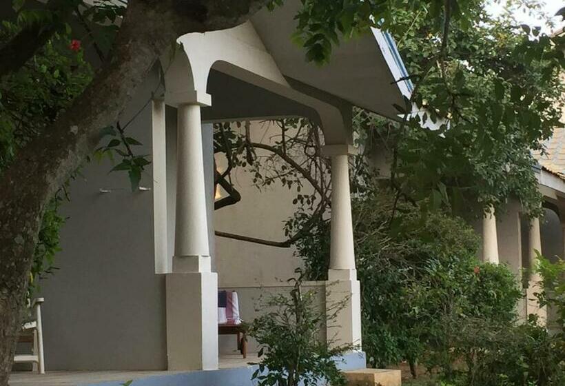 Отель The Oasis Beach Resort