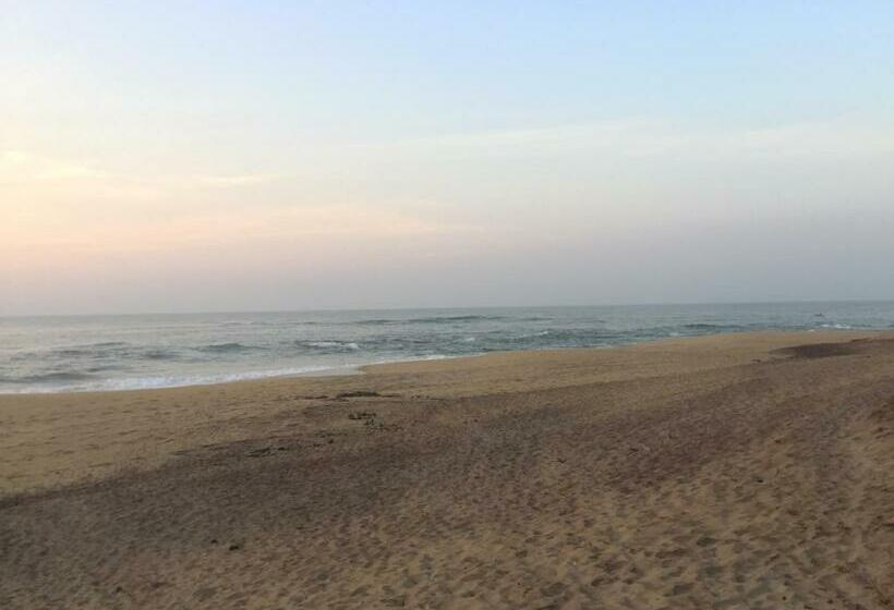 Отель The Oasis Beach Resort