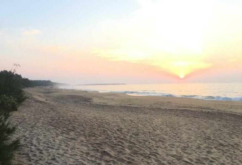 Отель The Oasis Beach Resort