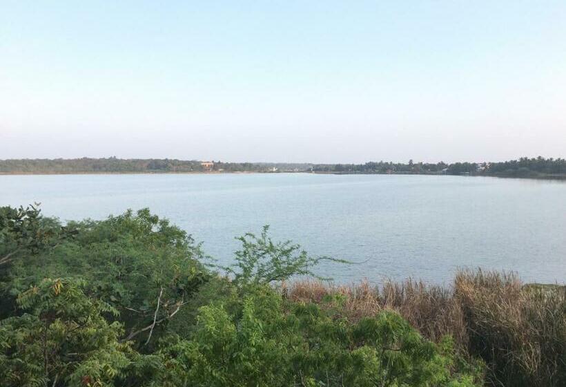 Отель The Oasis Beach Resort