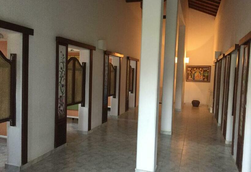 Отель The Oasis Beach Resort