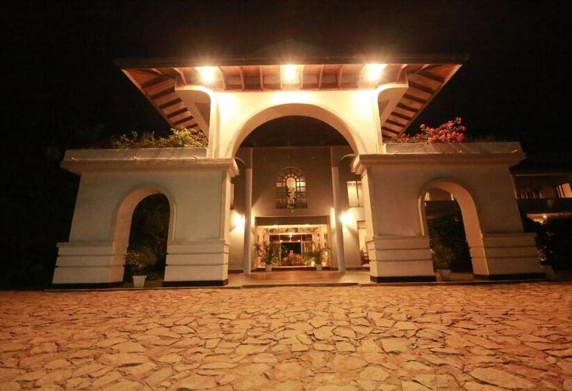 Отель The Oasis Beach Resort