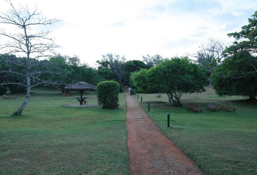 Отель The Oasis Beach Resort