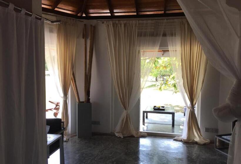 Отель The Oasis Beach Resort