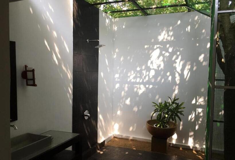 Отель The Oasis Beach Resort