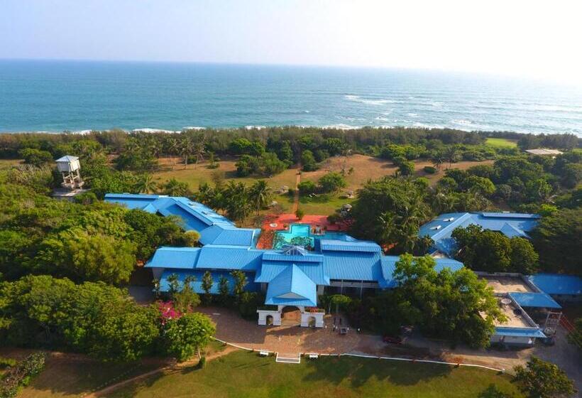 Отель The Oasis Beach Resort