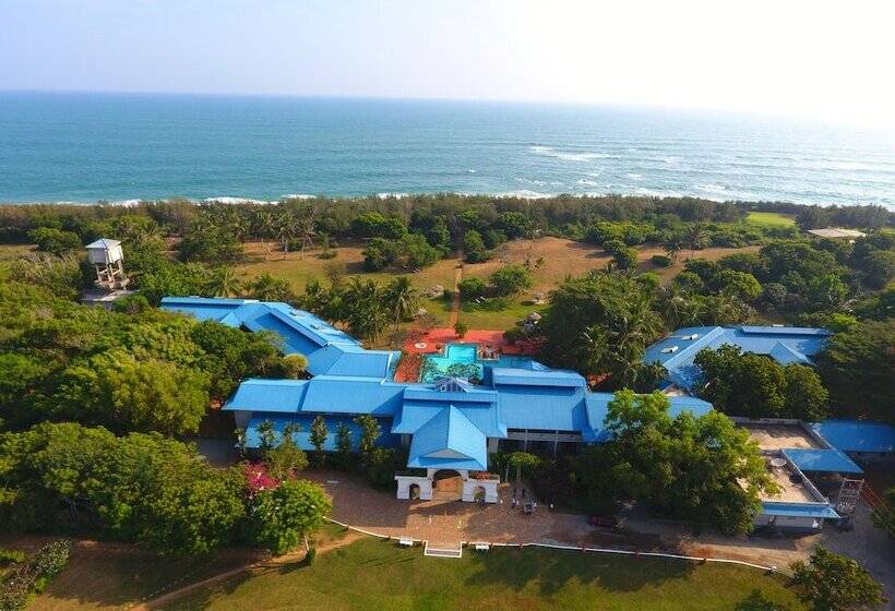 Отель The Oasis Beach Resort
