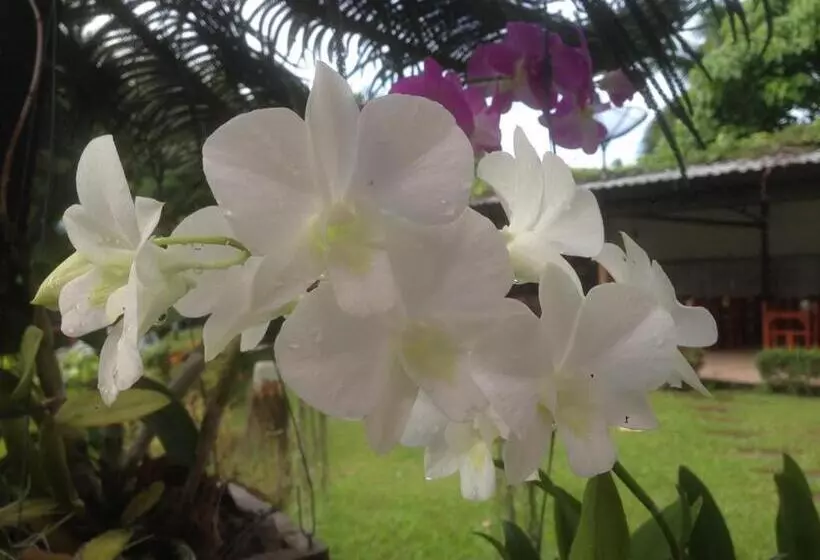 فندق The Palace Aonang Resort