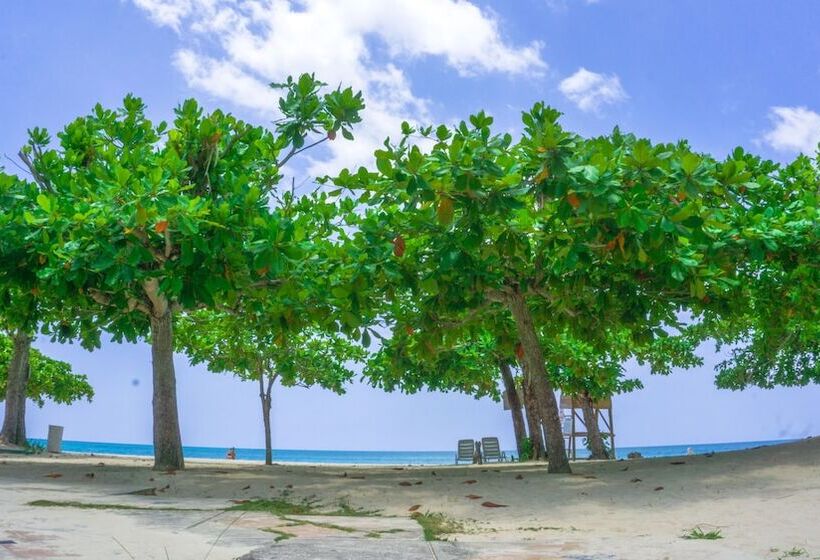 استراحتگاه Negril Beach Club