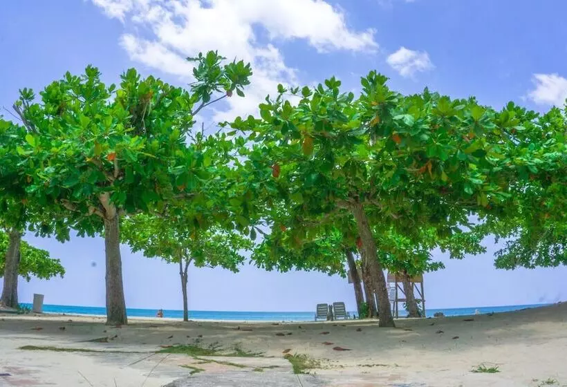 استراحتگاه Negril Beach Club