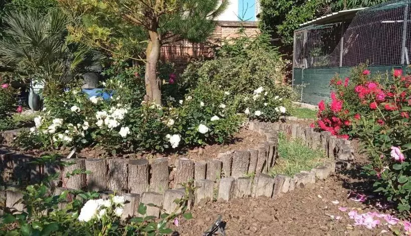 تختخواب و صبحانه Ad Astra Rooms