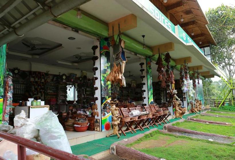 Hotel Oyo 14135 Ashly S Residency