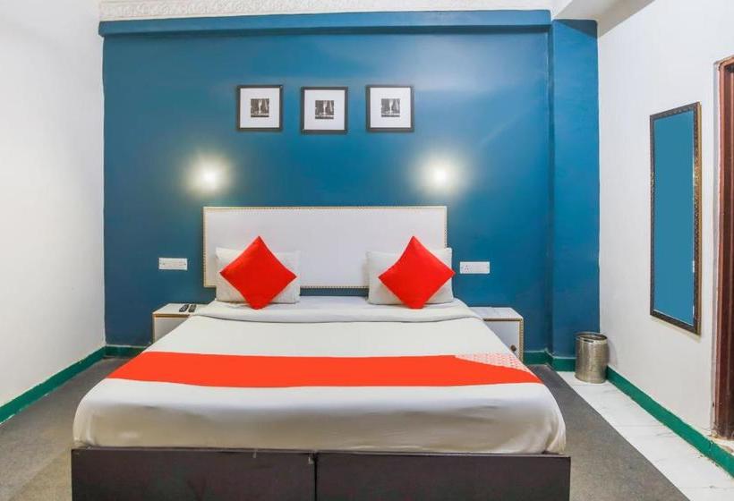 Hotel Oyo 70681 Green View Metro Hospital