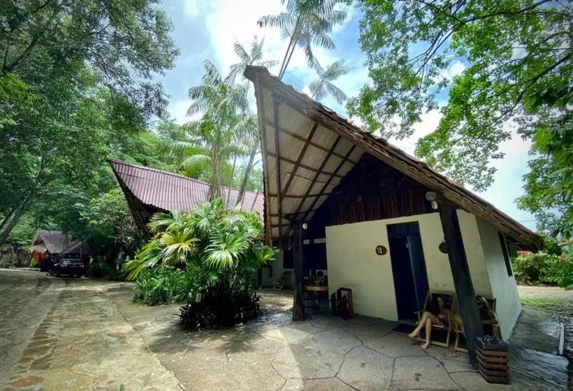 Hotelli Reservamazon Forest