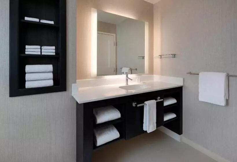 هتل Residence Inn Waco South