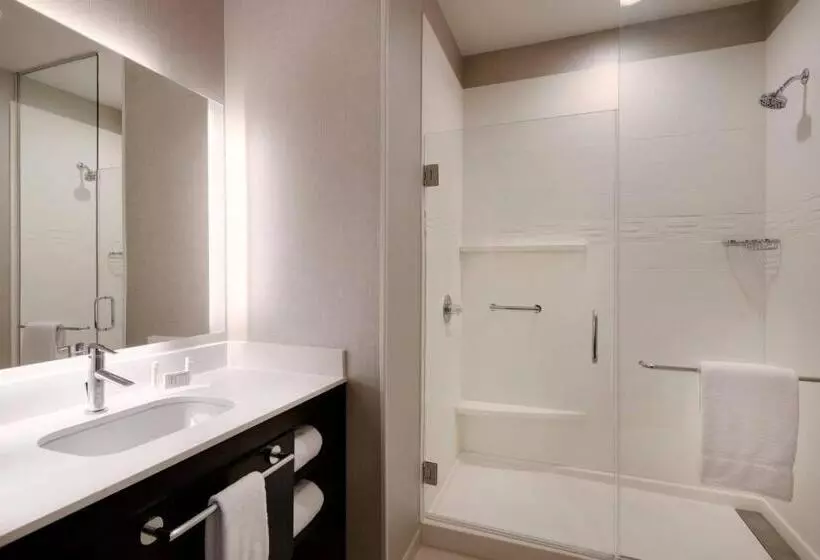 هتل Residence Inn Waco South