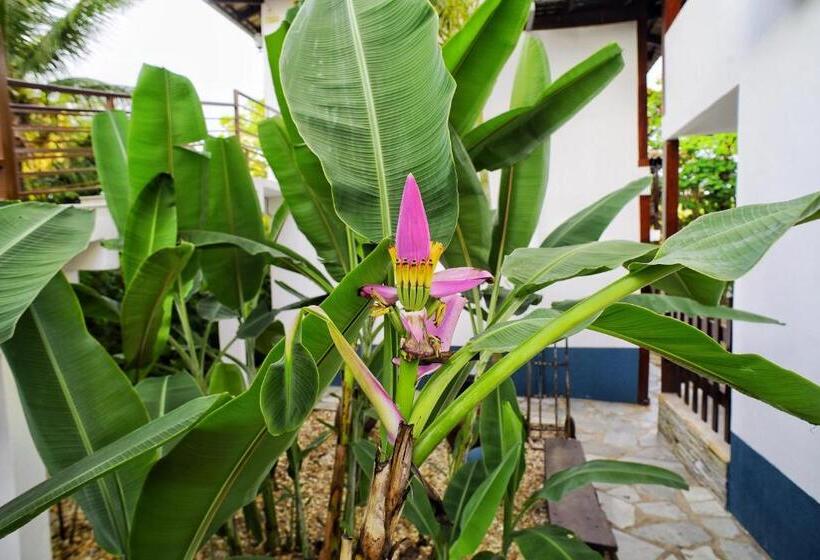 پانسیون Villae Pousada