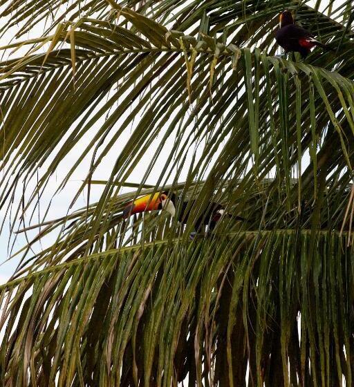 پانسیون Villae Pousada