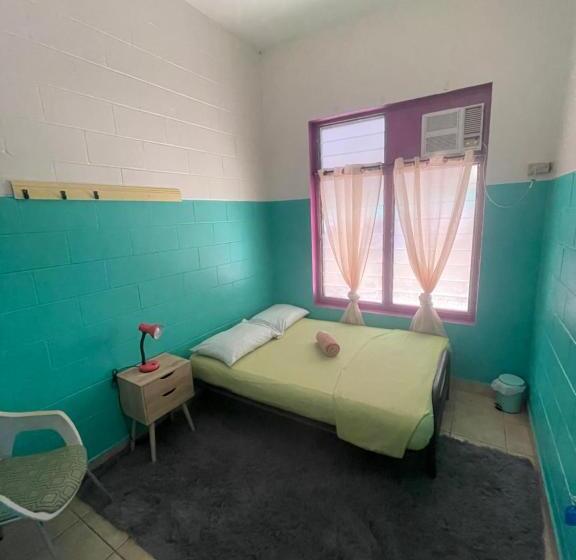 The Cozy Hostel   Motel