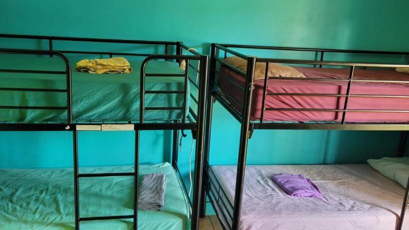 The Cozy Hostel   Motel