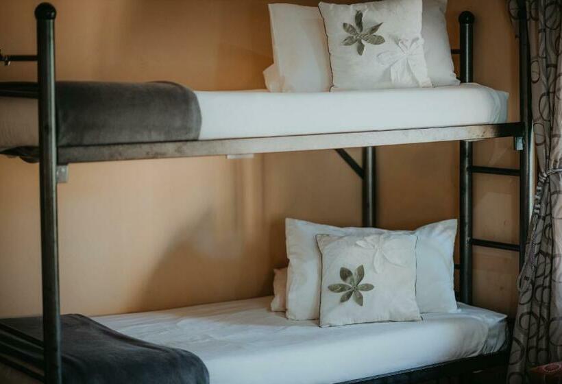 فندق صغير Tsitsikamma Backpackers