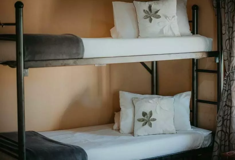 هاستل Tsitsikamma Backpackers