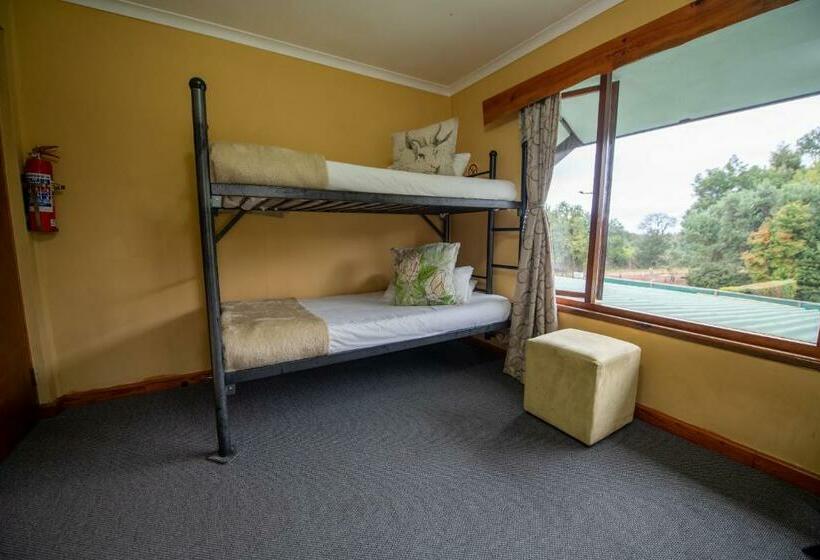 فندق صغير Tsitsikamma Backpackers