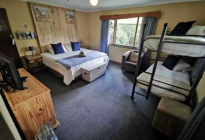 هاستل Tsitsikamma Backpackers