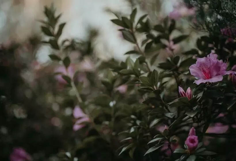 هاستل Tsitsikamma Backpackers