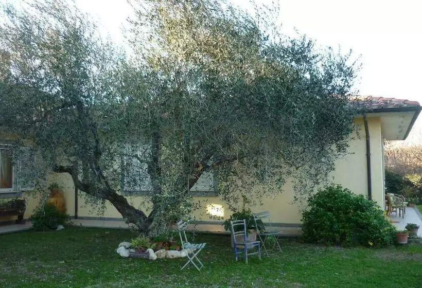 B&b Alle Terme