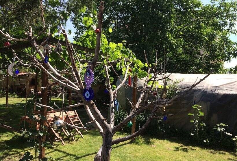 مبيت وإفطار Kose Pension