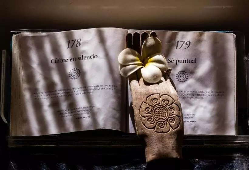 ホテル Dco Suites Lounge & Spa