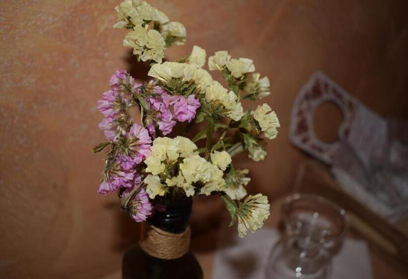 בית מלון כפרי Hostel Il Tetto