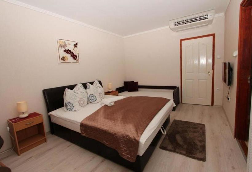 פנסיון Ariel Apartmanok