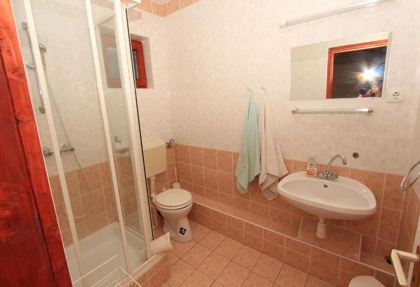 פנסיון Ariel Apartmanok