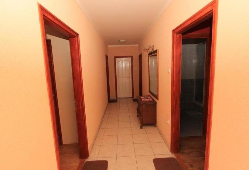 פנסיון Ariel Apartmanok