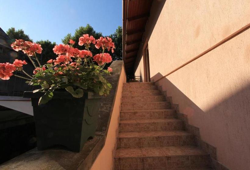 פנסיון Ariel Apartmanok