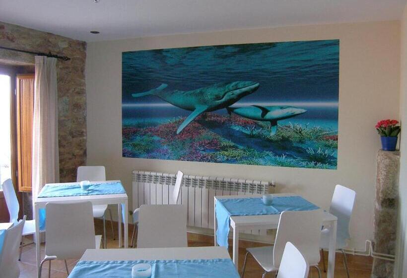 پانسیون Casa Da Balea