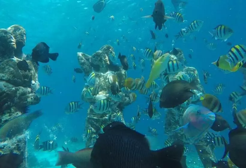 ペンション Fantastic Cottages