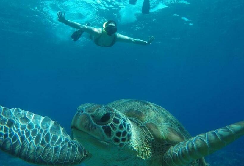 Пансион Fantastic Cottages