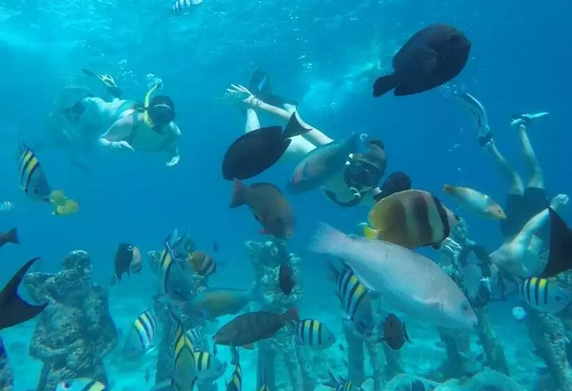 ペンション Fantastic Cottages