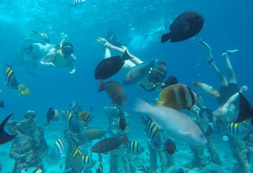 Пансион Fantastic Cottages