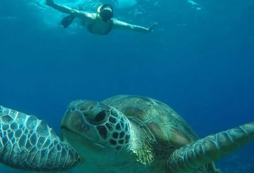 ペンション Fantastic Cottages