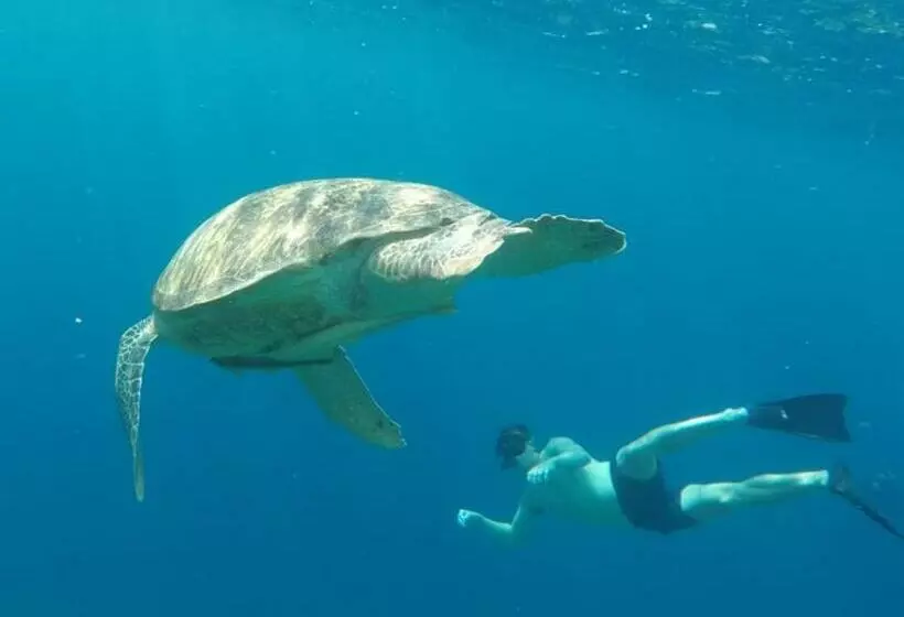 ペンション Fantastic Cottages