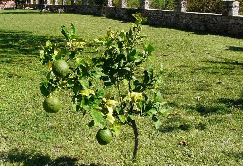 پانسیون Guest House Jadran Pol