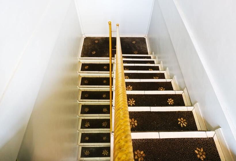 بنسيون Jungut Guest House