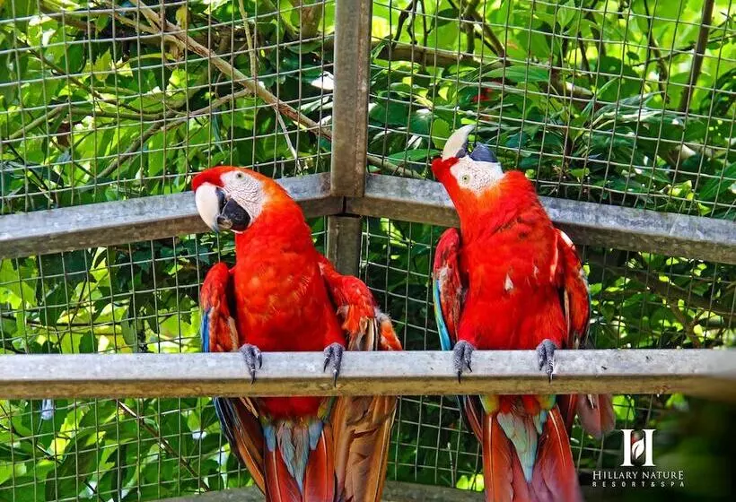 Hillary Nature Resort Spa