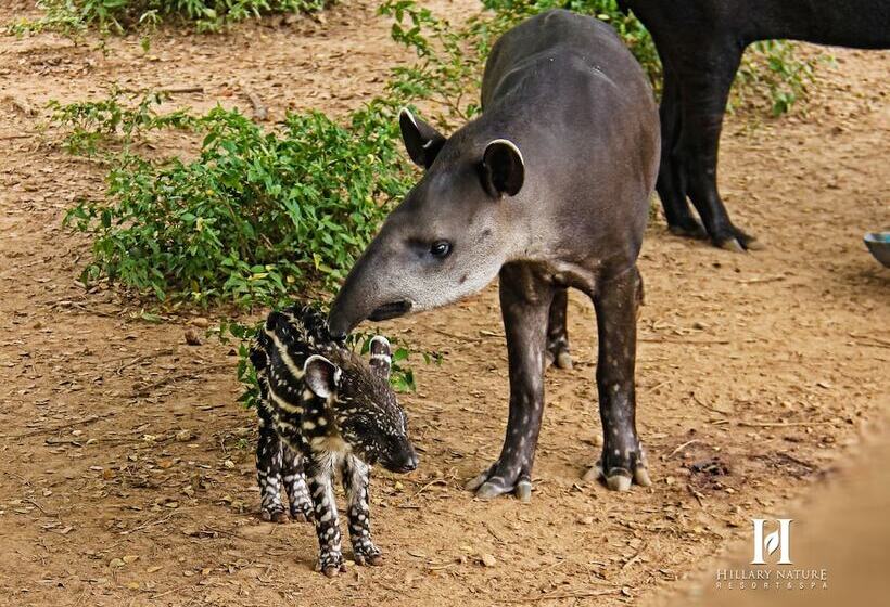 Hillary Nature Resort Spa
