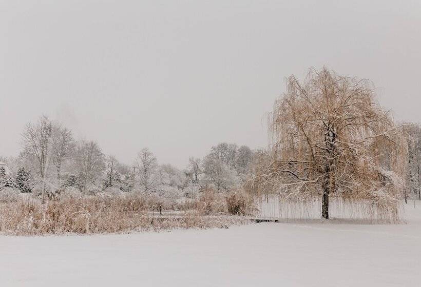 فندق Château Bela