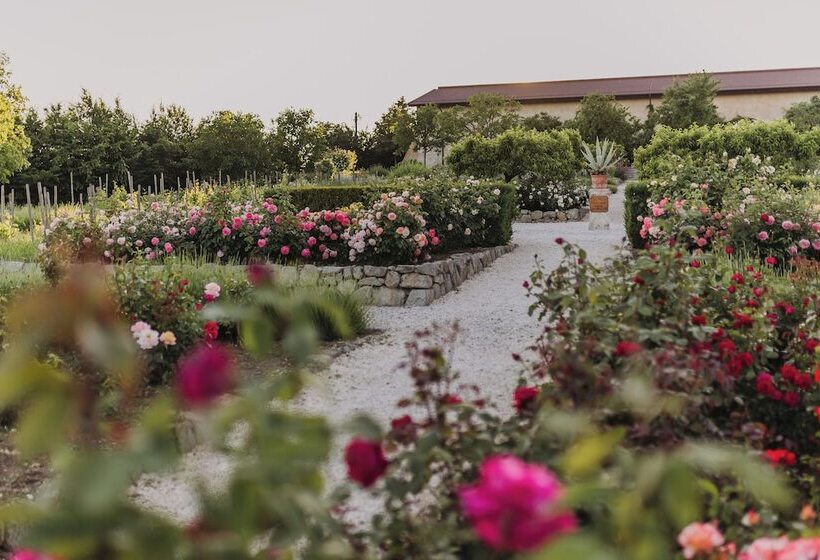 فندق Château Bela